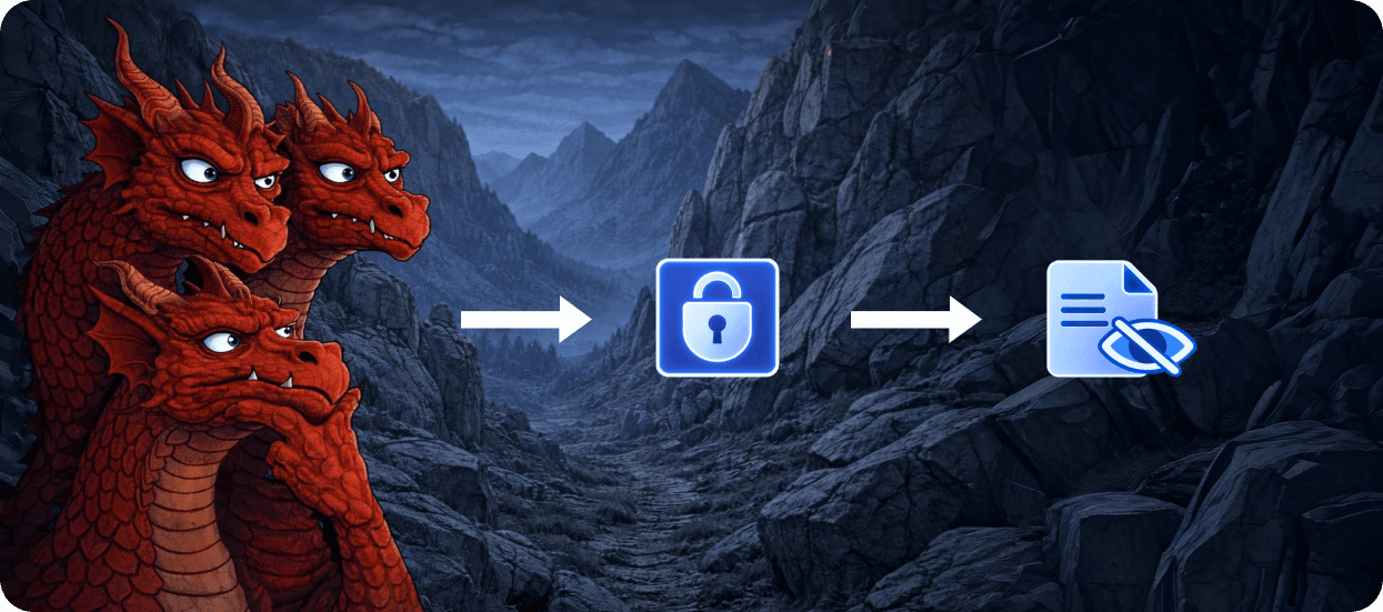 Anonymisation Features Illustration